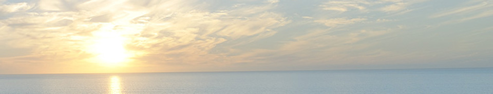 Therapie der Emotionen